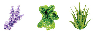 Laundry Soap Herbs - Arau Baby